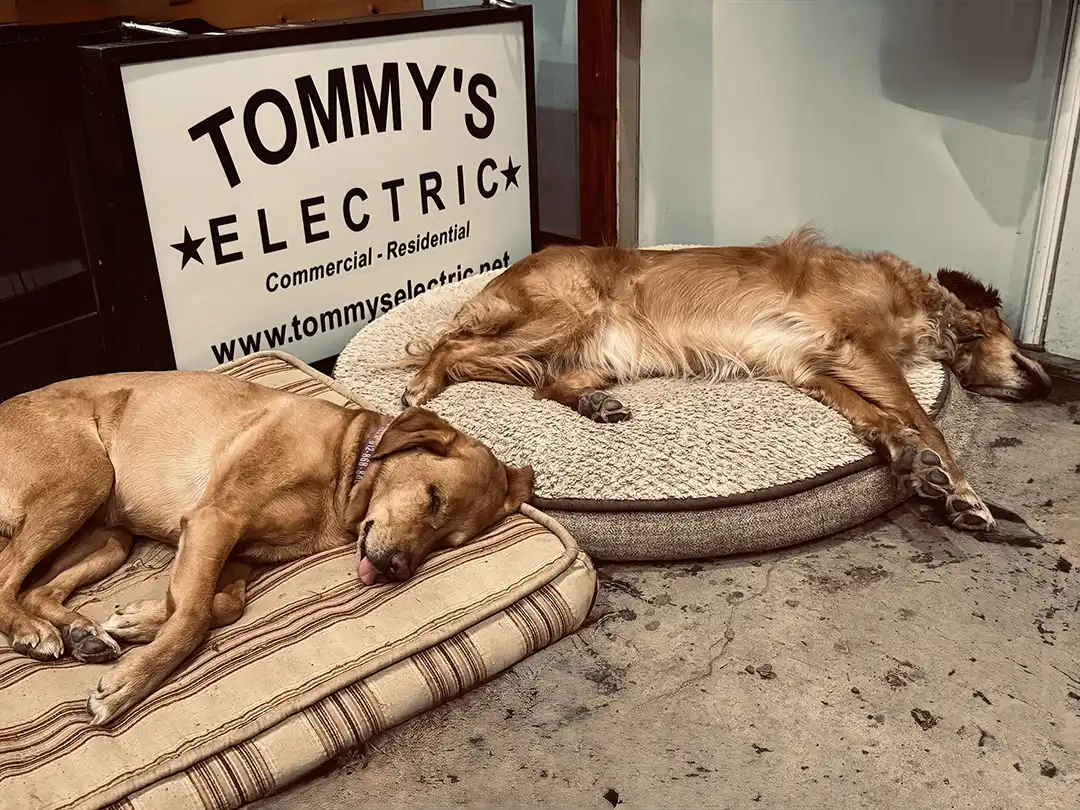 tommys electric team photo